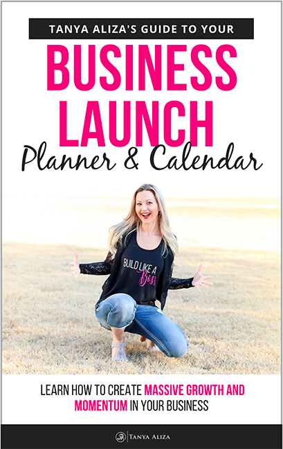 My Business Launch Planner & Calendar