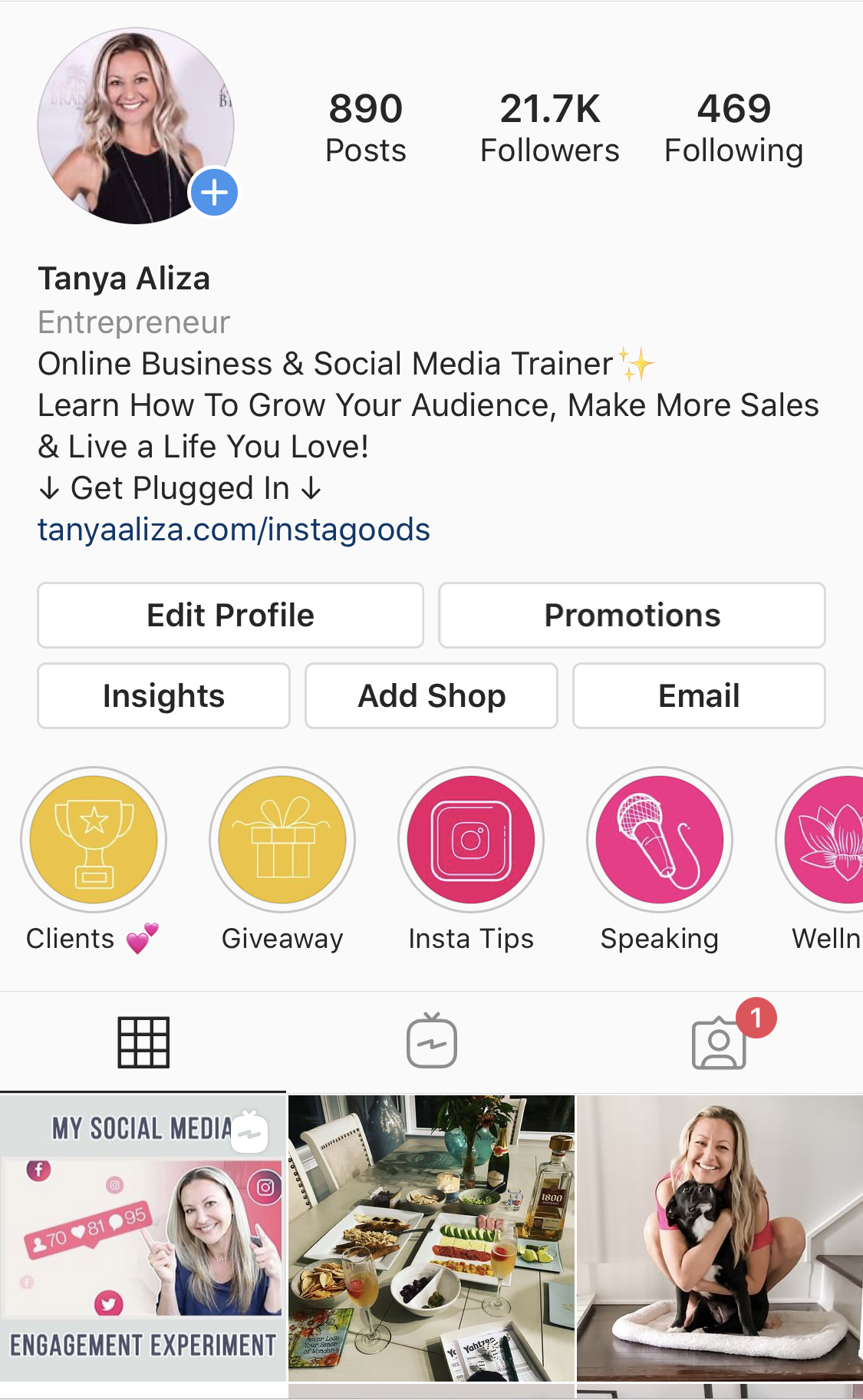 The PERFECT Instagram Bio (28 Steps To More Followers) - Tanya